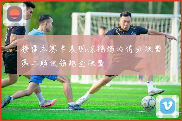 穆雷本赛季表现惊艳场均得分联盟第二助攻领跑全联盟