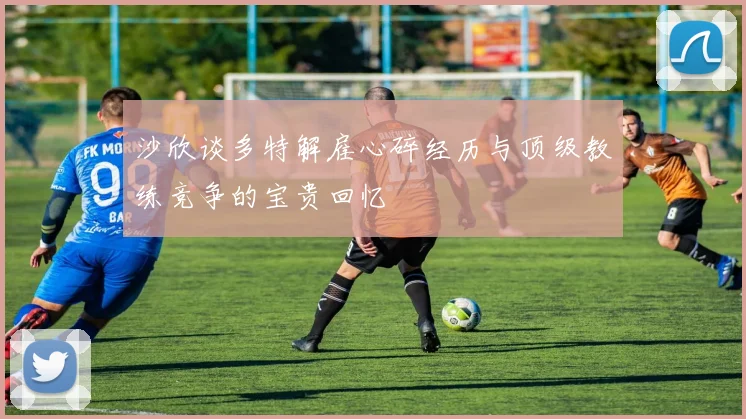 沙欣谈多特解雇心碎经历与顶级教练竞争的宝贵回忆